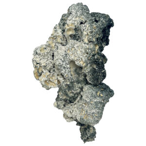 Buy Enigma Magic Mushrooms, Iceberg Magic Mushroom, B+ Magic Mushroom for sale, A+ Magic Mushrooms, B+ Shrooms in Canada, African Transkei Magic