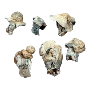 Buy Aztec God Magic Mushrooms, Cocaine in canada, where can i find cocaine in florida, where can i get Cocaine in canada., where to buy Cocaine