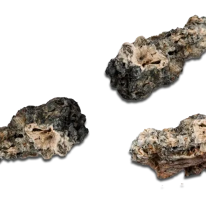 Magic Mushrooms Nebula Enigma