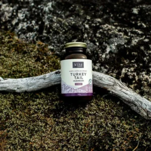 Turkey Tail Mushroom Canada, Buy Turkey Tail Mushroom for sale, magic mushroom canada, buy magic mushroom in canada, buy mushroom canada