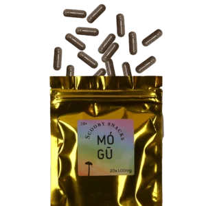Buy Scooby Snacks Magic Mushroom