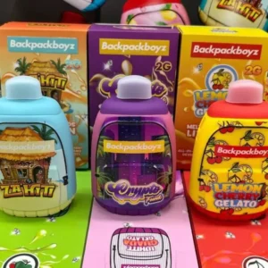 Backpackboyz 2G Disposable Canada